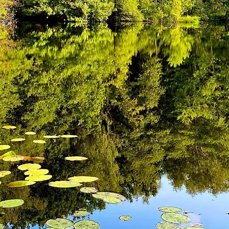 Domek letniskowy Na Górce Ostrowice